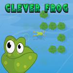 Play Clever Frog